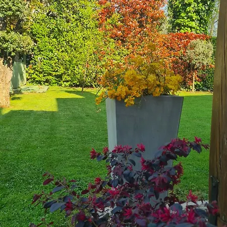 Rosa Nel Borgo * Liedolo